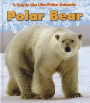 Polar Bear by Katie Marsico Hardback