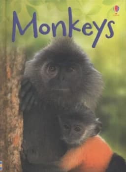 Monkeys by Lucy Beckett-Bowman and Jenny Cooper and Sue King Hardback