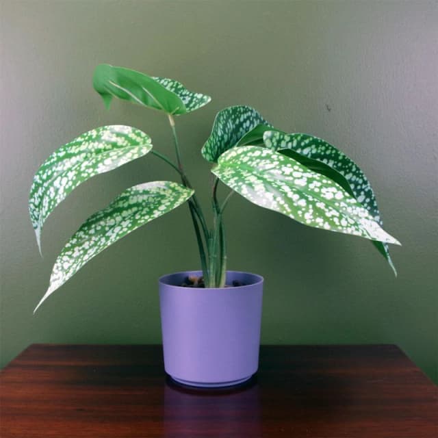 Leaf Artificial Spotted Plant in Planter Botanik Green