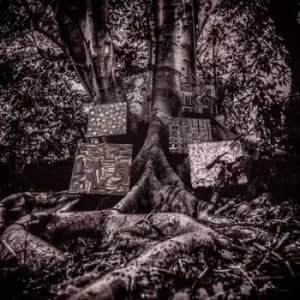 Harmony of Difference by Kamasi Washington CD Album