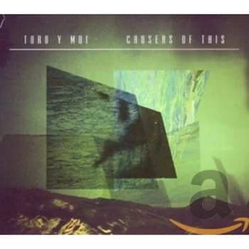 Toro Y Moi - Causers Of This CD
