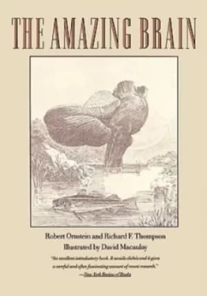 The amazing brain by Robert E Ornstein