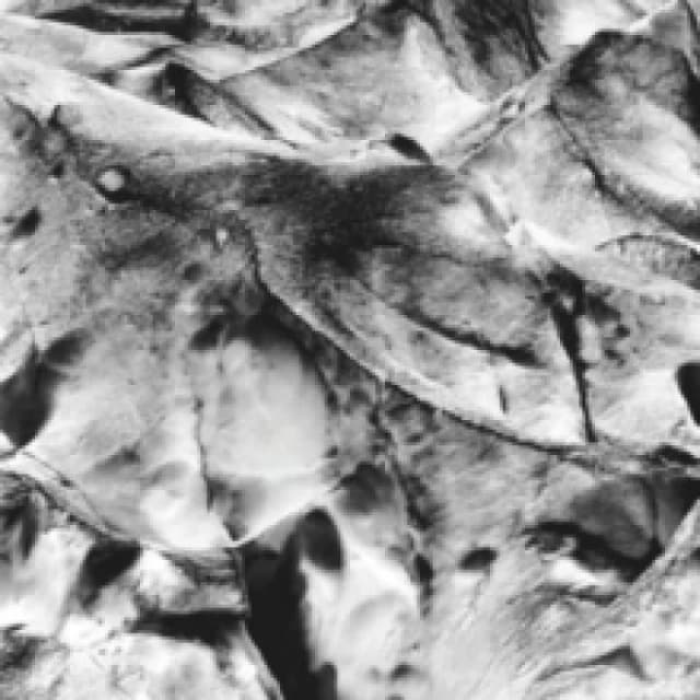 Neues Boot CD / Album