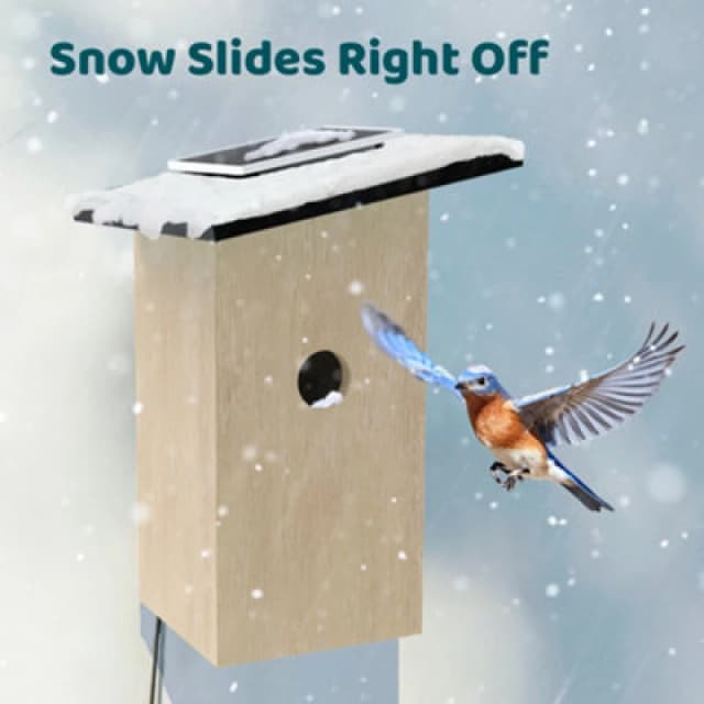 BIRDFY House Ebony Lite Smart Camera Bird Feeder with Solar Panel - Fir, Brown 792671634942