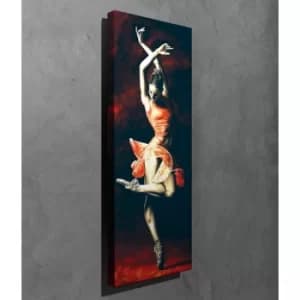 PC222 Multicolor Decorative Canvas Painting