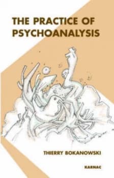 The Practice of Psychoanalysis by Thierry Bokanowski Paperback