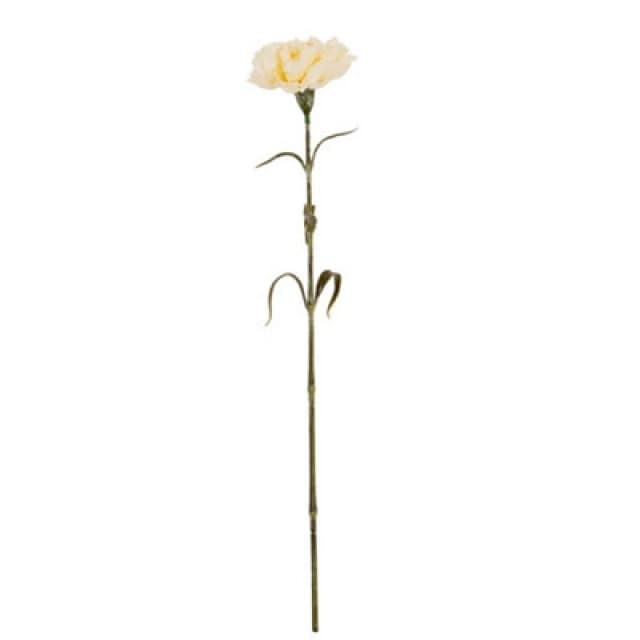 Hill Interiors Cream Carnation Stem Artificial Flower - Plastic - L11 X W10 X H56cm - Cream