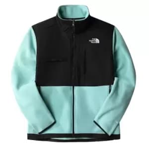 The North Face Denali Jacket, Wasabi, Male, Jackets & Outerwear, NF0A7UR26R71