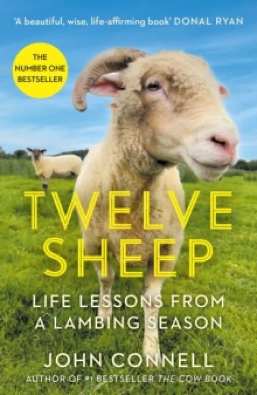Twelve Sheep : Life lessons from a lambing season Paperback / softback