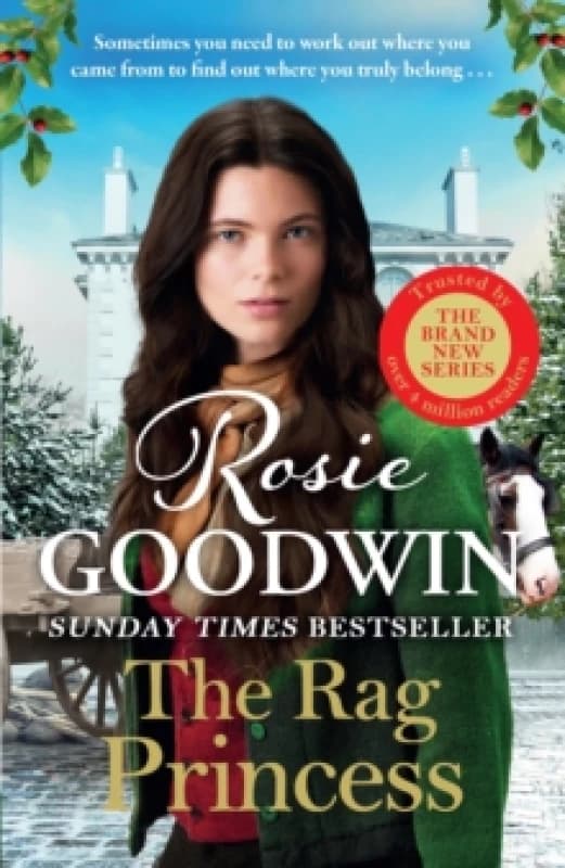The Rag Princess : THE FIRST HISTORICAL ROMANCE IN THE BRAND NEW SUNDAY TIMES BESTSELLING RAGS TO RICHES SERIES Hardback