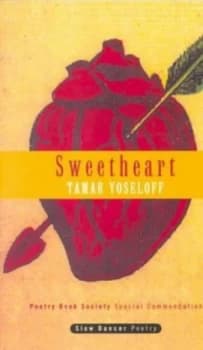 Sweetheart by Tamar Yoselhoff Book