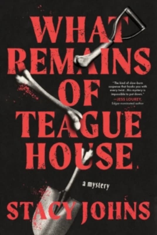 What Remains of Teague House : A Mystery Paperback / softback