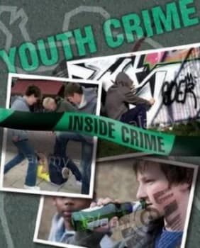 Youth Crime by Colin Hynson Hardback