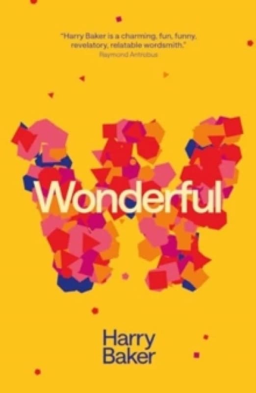 Wonderful Paperback / softback