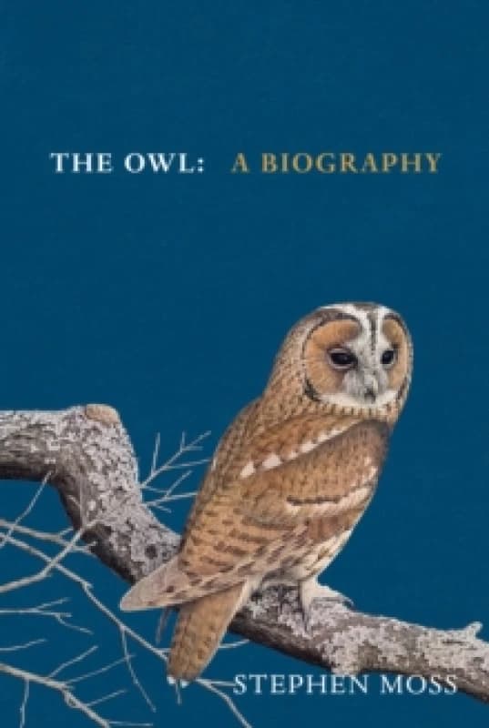 The Owl : A Biography Hardback