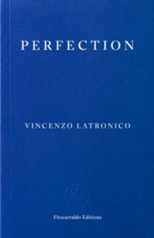 Perfection Paperback / softback