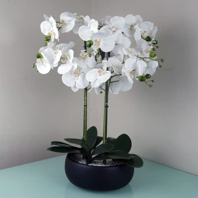 Leaf 60cm Orchid White - Black Ceramic Planter Green