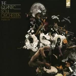Pushin On by Quantic Soul Orchestra CD Album