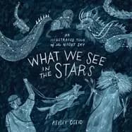 what we see in the stars an illustrated tour of the night sky
