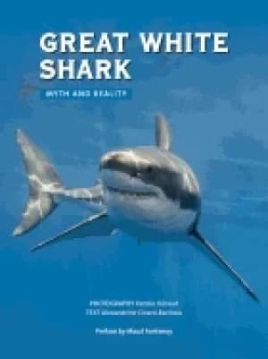 great white shark myth and reality