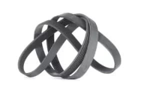 CONTITECH V-ribbed belt BMW,FORD,RENAULT 6PK1780 46527337,60815666,60816115 71719401,11288507416,11288512233,11288519874,8507416,46527337,46786740