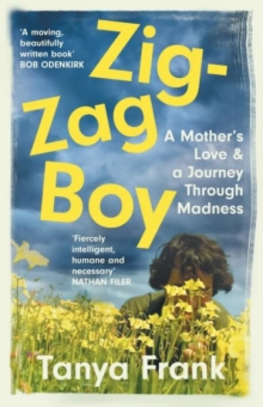Zig-Zag Boy. Paperback. By Tanya Frank Books