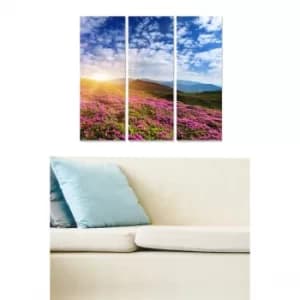 MDF96367208 Multicolor Decorative MDF Painting (3 Pieces)