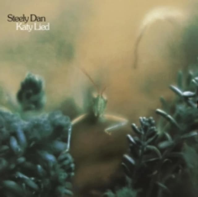 Katy Lied Vinyl