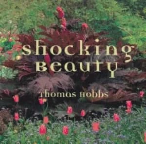 shocking beauty