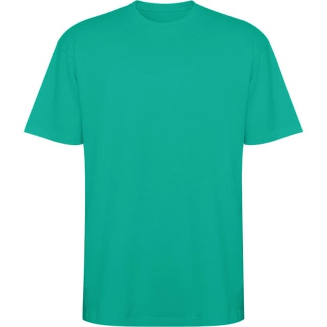 ROLY ROLY Men Bull Oversized Short-Sleeved T-Shirt in Jade Size: X-Small Jade XS Male 5063806626305