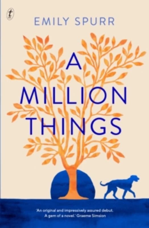 A Million Things Paperback / softback