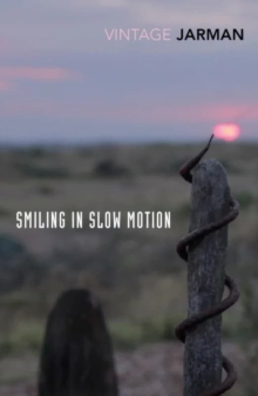 Smiling in Slow Motion : Journals, 1991-1994 Paperback / softback