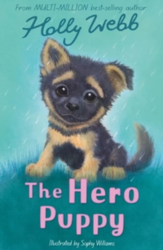 The Hero Puppy Paperback / softback