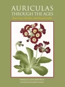 Auriculas through the Ages : Bear's Ears, Ricklers and Painted Ladies