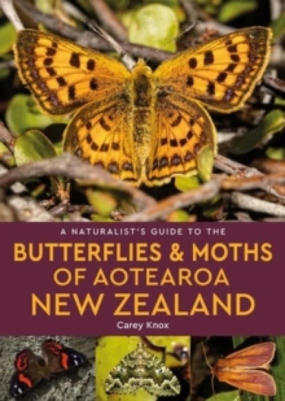 A Naturalist's Guide to the Butterflies & Moths of Aotearoa New Zealand Paperback / softback