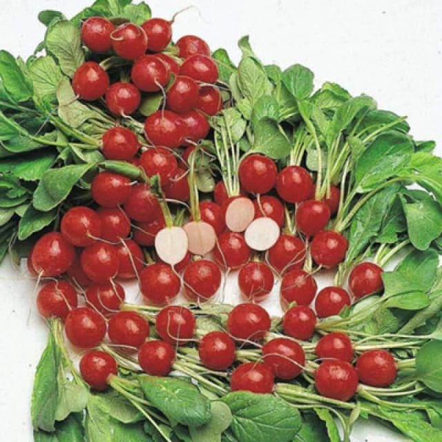 Thompson & Morgan Radish Cherry Belle 1 Seed Packet