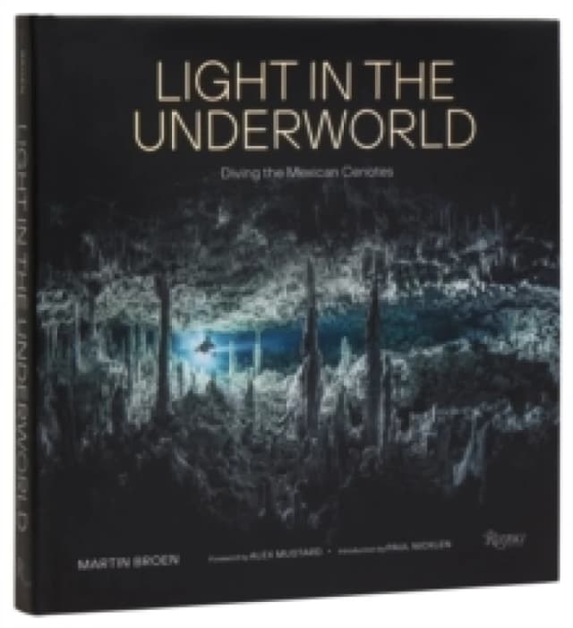Light in the Underworld. Hardback. By Martin Broen Books