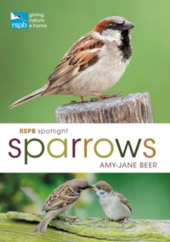 RSPB Spotlight Sparrows Paperback / softback