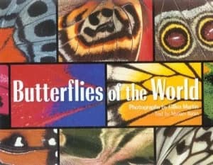 Butterflies of the World by Gilles Martin and Myriam Baran Hardback