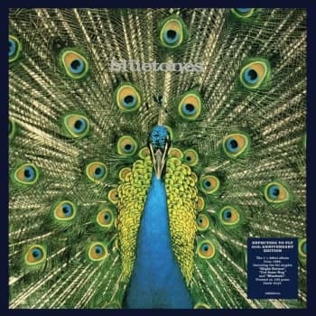 The Bluetones - Expecting to Fly Vinyl