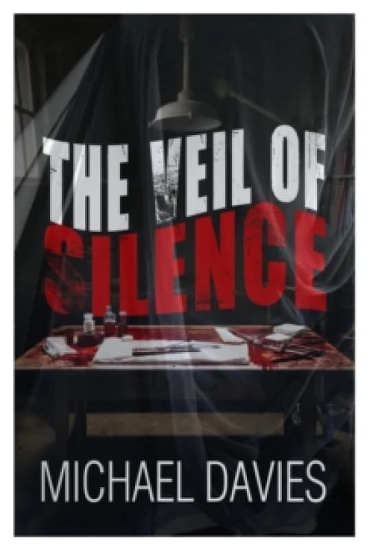 The Veil of Silence Paperback / softback