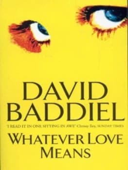 Whatever Love Means by David Baddiel Paperback