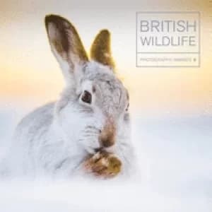 british wildlife photography awards 9
