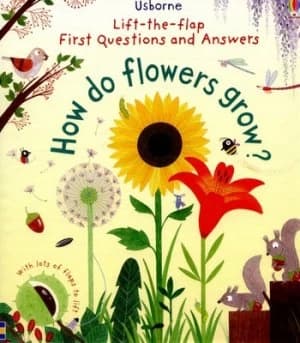 How Do Flowers Grow by Katie Daynes Hardback