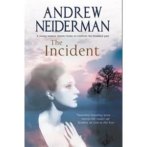 The Incident by Andrew Neiderman (Paperback, 2017)