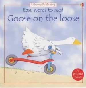 Goose on the Loose by Phil Roxbee Cox and Stephen Cartwright and Jenny Tyler Hardback
