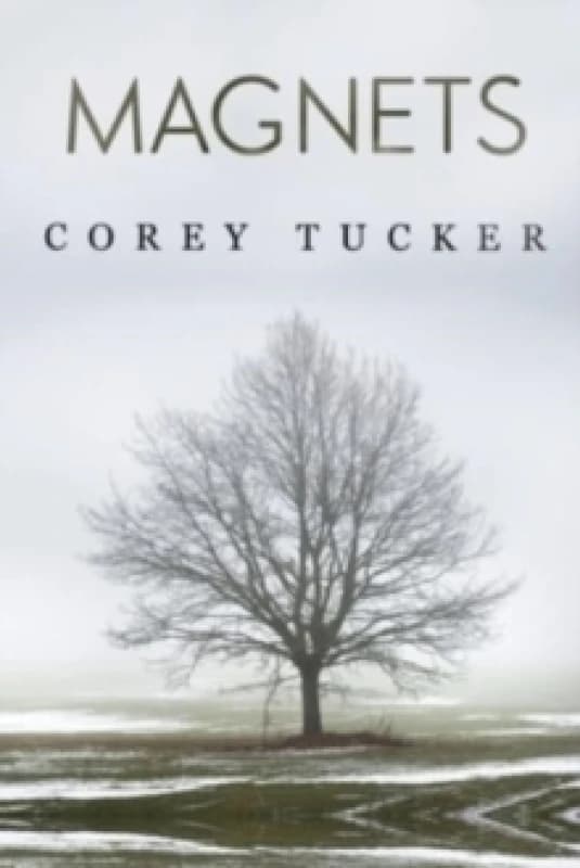 Magnets Paperback / softback