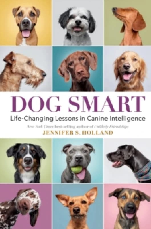 Dog Smart : Life-Changing Lessons in Canine Intelligence Hardback