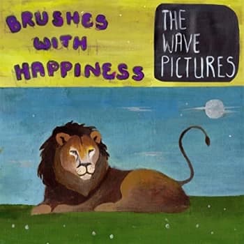 THE WAVE PICTURES - Brushes With Happiness CD