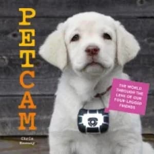 petcam the world through the lens of our four legged friends